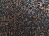 13400 Burnishing Varnish for Metals