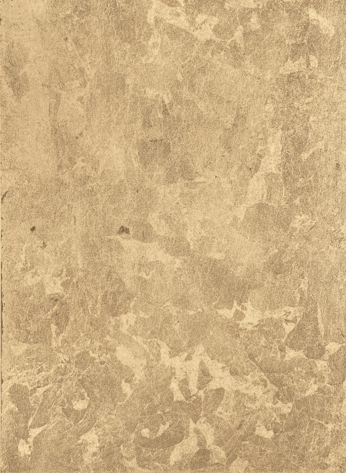 378_Oro_1 Oro - Image 1