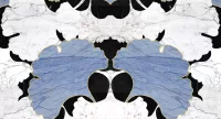 Gingko Blue - Image 2