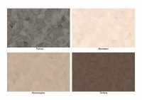 Natural Genius - Slide - Image 12