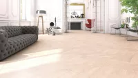 Natural Genius - Slide - Image 5