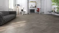 Natural Genius - Biscuit - Image 4