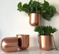 Copper Varnish - Image 2