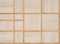 Natural Genius - Regola - Image 2