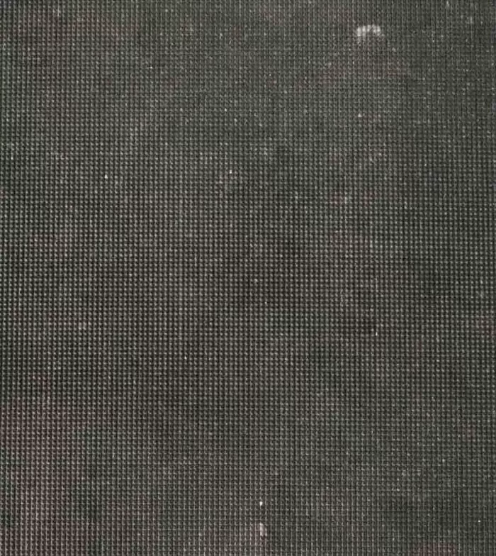 Elio Texture - Image 6