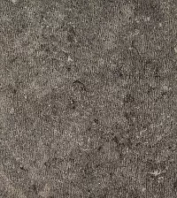 Iris Texture - Image 5