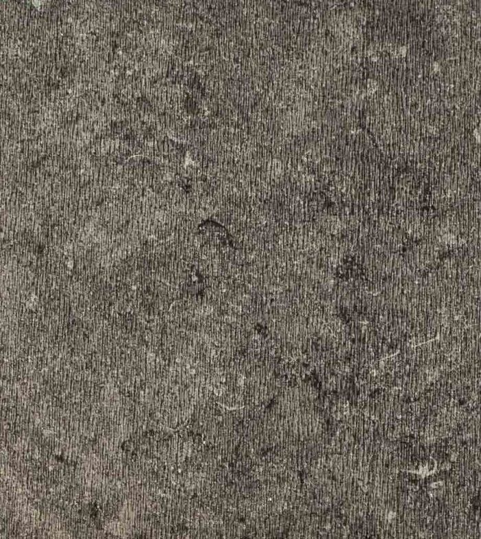 4047_Black_Stone_Iris_1 Black Stone Iris - Image 1