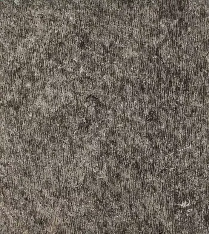 Iris Texture - Image 5