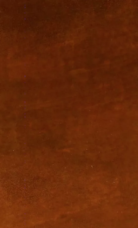 Materico Corten A Oxidised Effect Varnish - Image 2