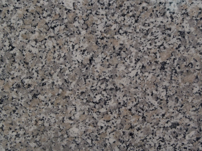 4579_Rosa_Beta_1 Rosa Beta - Image 1