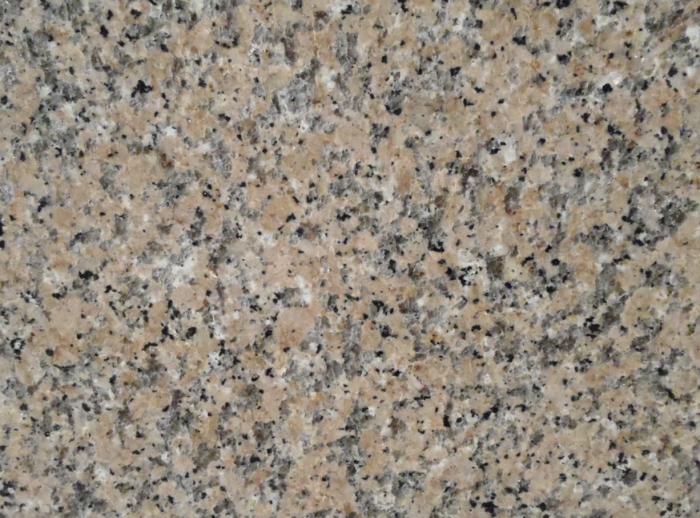 4582_Rosa_Porrino_1 Rosa Porrino - Image 1