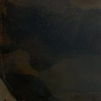 Ferro Corno Naturale - Image 2