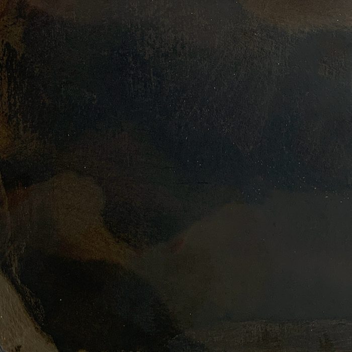 Ferro Corno Naturale - Image 2