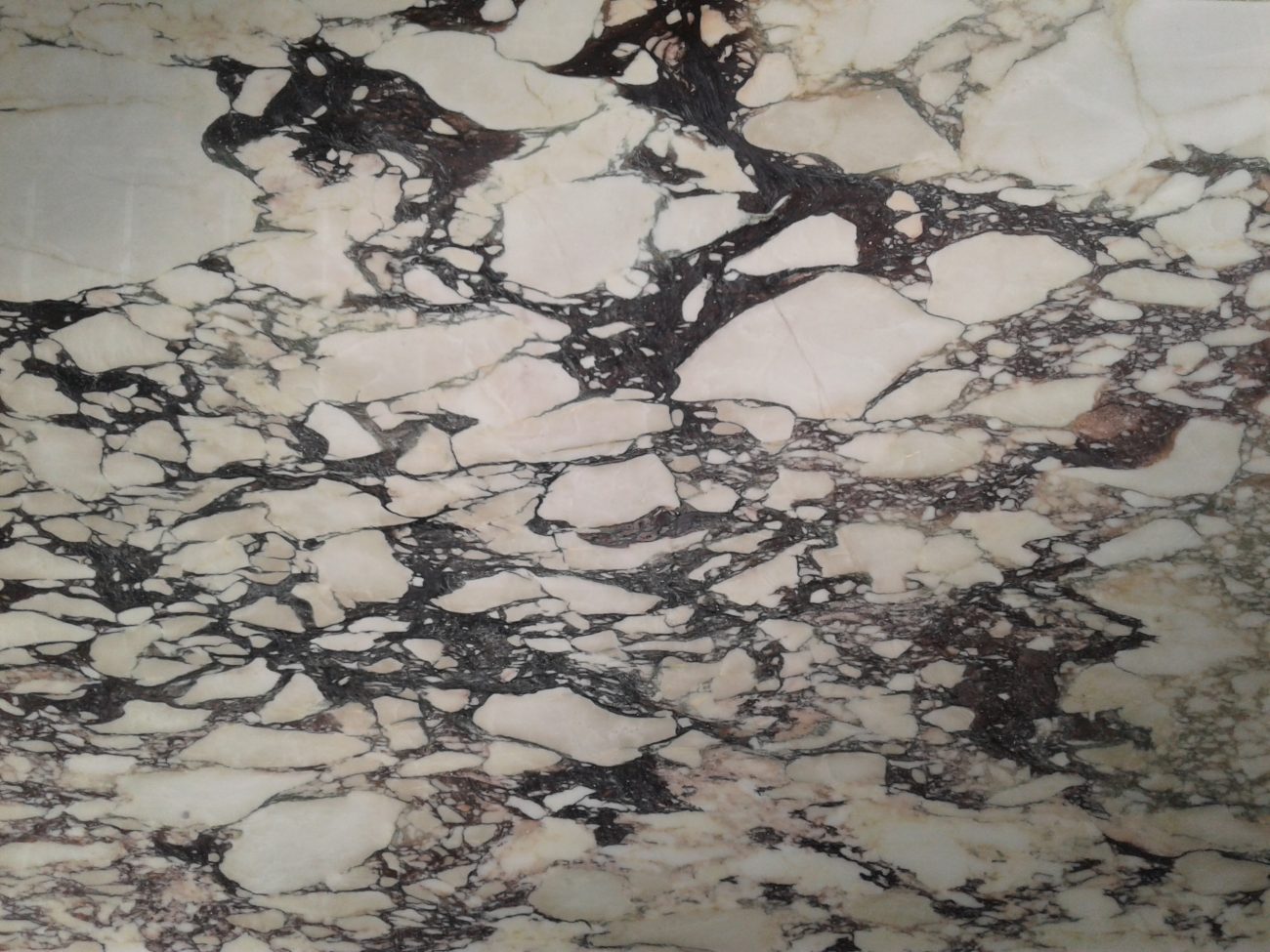 Materials Assemble l Calacatta Rosato Vagli
