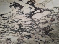 Calacatta Rosato Vagli