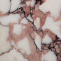 Calacatta Rosato Vagli - Image 4