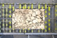 Calacatta Fiorito Vagli - Image 3