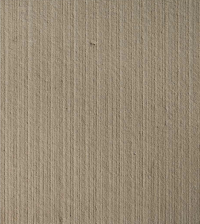 Asia Texture - Limestone Effe