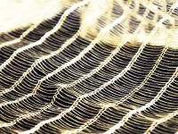 Dream 71 Brass Textile - Image 2