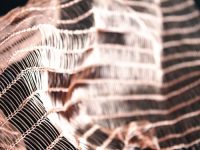 Dream 71 Copper Textile - Image 2