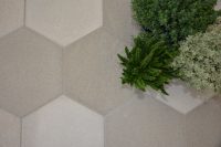 Likeabee Stone - Image 2