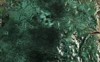 Square Cotto Tiles Dark Green - Image 4