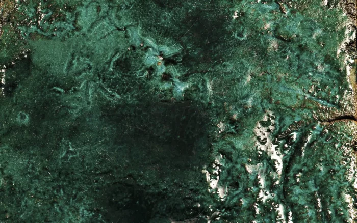 Square Cotto Tiles Dark Green - Image 4