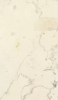 Bianco Perlino