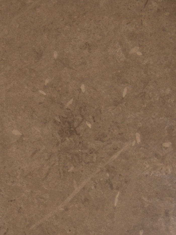 91_Brown_Chartage_1 Brown Chartage - Image 1