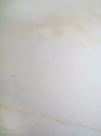 Cremo Delicato