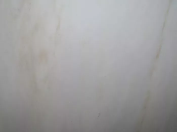 Cremo Delicato - Image 2