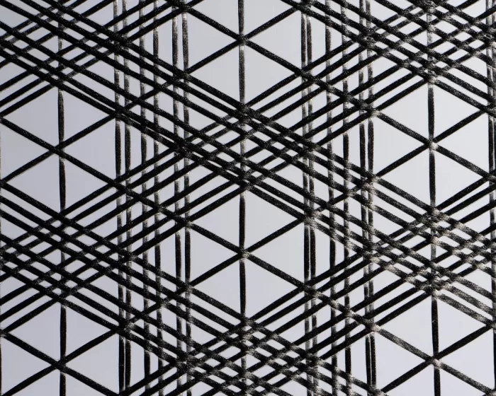 Ninnaji Textile - Image 2