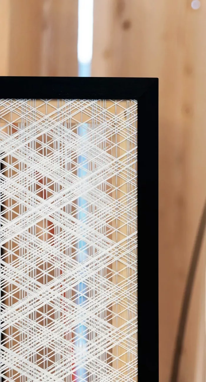 Ninnaji Textile - Image 3