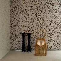 Lentil Terrazzo Seeds - Image 2