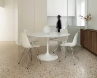 Tef Terrazzo Seeds - Image 2