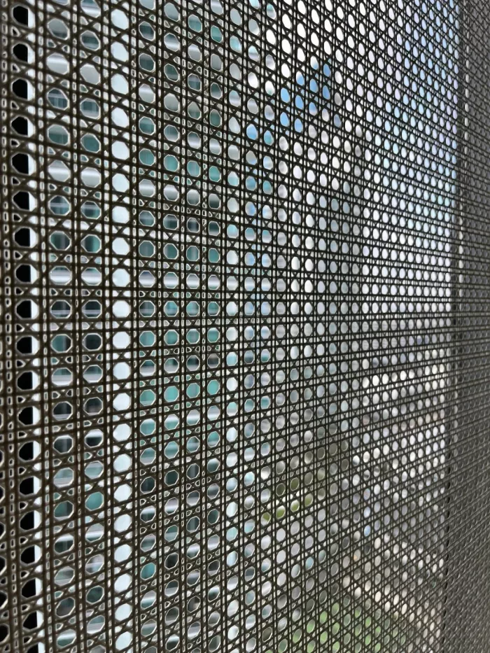 Wien Straw Textile - Image 3