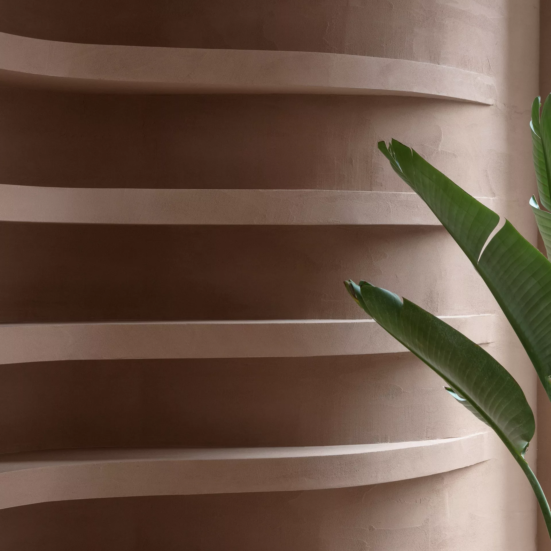 Matteo Brioni's fine-grained clay plaster TerraVista Smooth Cammeo (cameo) color with Plus customization applied on walls in the Profumo shop in Naples, project by Primo Atelier, photo by Carlo Oriente TerraVista Smooth - Image 1