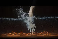 Morellet Textile - Image 8