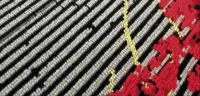 Flora Rug - Image 2