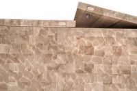 Arca 2 Cabinet - Image 8