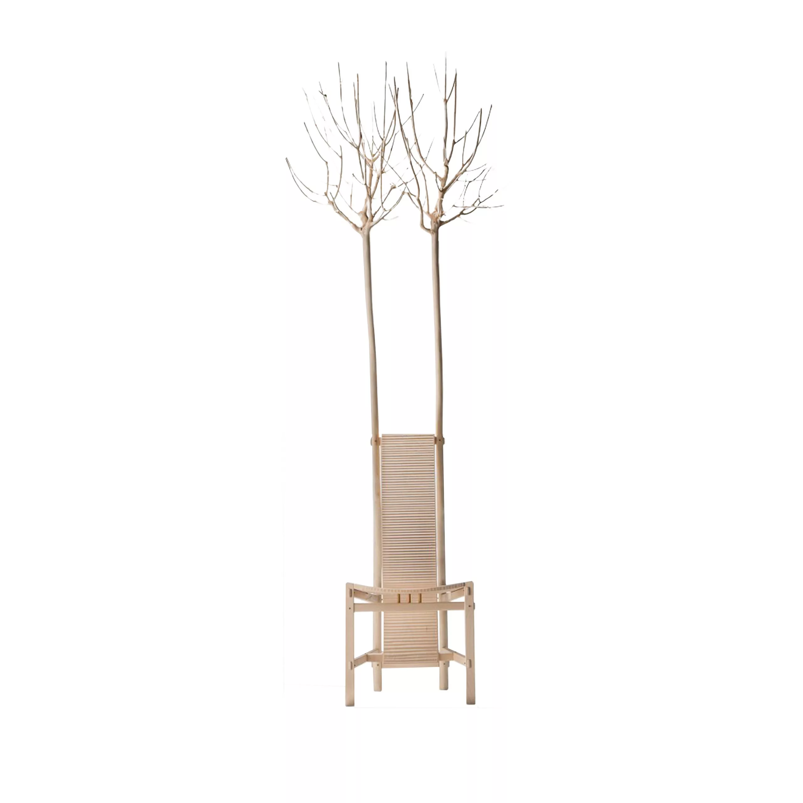 57482_Fiorita_Chair_1 Fiorita Chair - Image 1