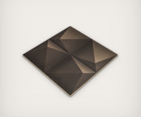 Wood cladding Black Star