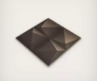 Wood cladding Black Star