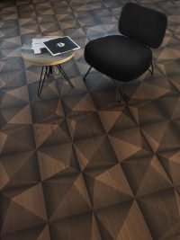 Wood cladding Black Star - Image 3