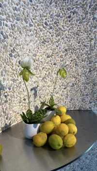 Cocciopesto Cladding - Image 5