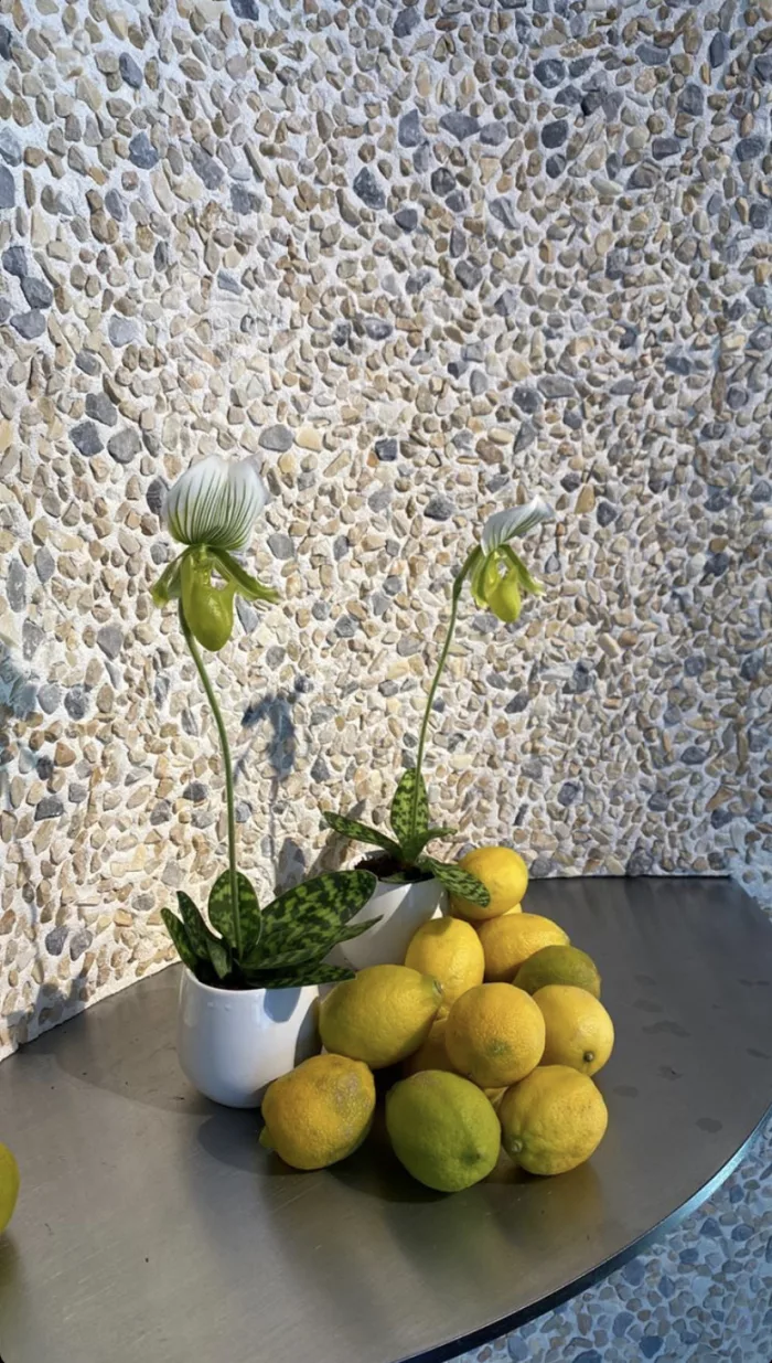 Cocciopesto Cladding - Image 5