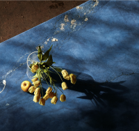 Cocciopesto Monolithic Pieces - Image 7