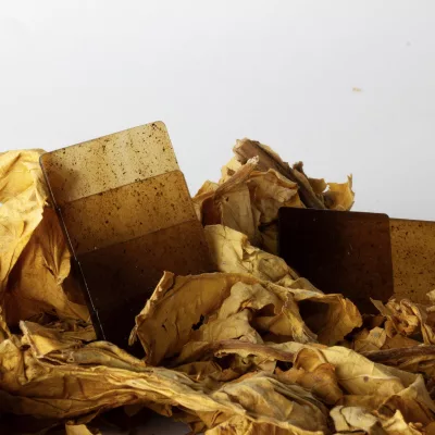 FANOCEL HIGHSOCIETY_FANOCEL_TOBACCO WASTE