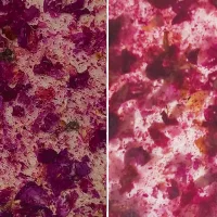 Peony Dark Textile - Image 2