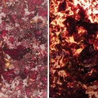 Rose Glass - Image 2